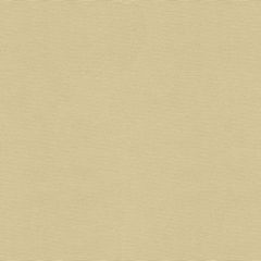 Kravet Sunbrella Beige 33382-1116 Soleil Collection Upholstery Fabric