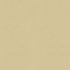 Kravet Sunbrella Beige 33382-1116 Soleil Collection Upholstery Fabric