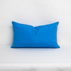Indoor/Outdoor Sunbrella Canvas Capri - 20x12 Throw Pillow