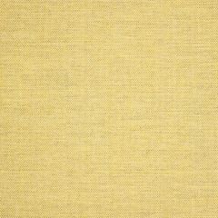 Sunbrella Idol Canary 40487-0025 Upholstery Fabric