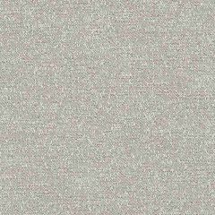 Sunbrella Palazzo Grey PAL J227 140 European Collection Upholstery Fabric