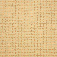 Sunbrella Bellamy Tangelo 45913-0003 Upholstery Fabric