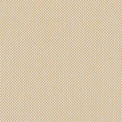 Sunbrella Robben Straw ROB R004 140 European Collection Upholstery Fabric