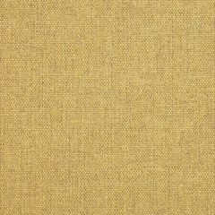 Sunbrella Makers Collection Blend Honey 16001-0013 Upholstery Fabric