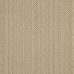 Sunbrella Posh Lichen 44157-0014 Fusion Collection Upholstery Fabric