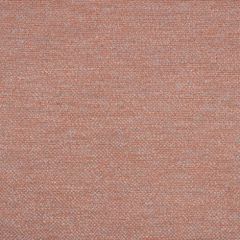 Sunbrella Nurture Clay 42102-0010 Balance Collection Upholstery Fabric