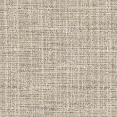 Sunbrella by CF Stinson Contract Catalina Ridge 63501 Upholstery Fabric