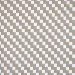 Silver State Sunbrella Seesaw Sand Dollar High Society Collection Upholstery Fabric