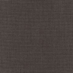 Sunbrella RAIN Canvas Coal 5489-0000 77 Waterproof Upholstery Fabric