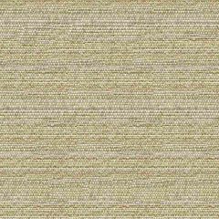Kravet Sunbrella 34274-1611 Guaranteed In Stock Upholstery Fabric