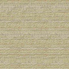 Kravet Sunbrella 34274-1611 Guaranteed In Stock Upholstery Fabric