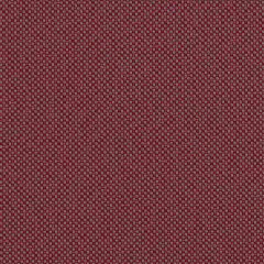 Sunbrella Robben Drama ROB R012 140 European Collection Upholstery Fabric