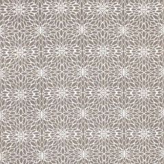 Silver State Sunbrella Penelope Shale Roman Holidays Collection Upholstery Fabric
