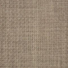 Sunbrella Reed Raffia 50199-0001 Sling Upholstery Fabric