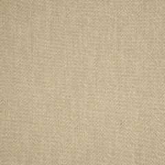 Sunbrella Posh Shitake 44157-0024 Fusion Collection Upholstery Fabric