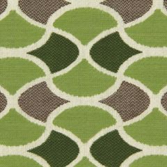 Robert Allen Sunbrella Carrington Lime 228285 Dwell Studio Modern Bungalow Collection Upholstery Fabric