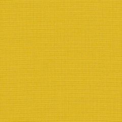 Sunbrella Bengali Yellow BEN 10156 140 European Collection Upholstery Fabric