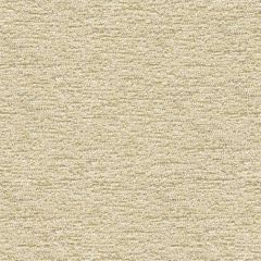 Kravet Sunbrella Beige 28051-16 Upholstery Fabric