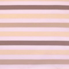 Sunbrella by Alaxi Circus Stripe Neutral Best of Alaxi Collection Upholstery Fabric