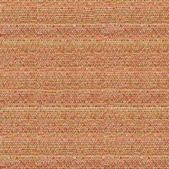 Kravet Sunbrella Melanger Mandarin 34274-12 Upholstery Fabric