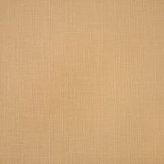 Sunbrella Textil Toast 10201-0006 Horizon Foam Back Marine Upholstery Fabric