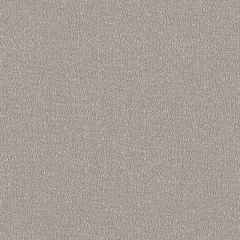 Sunbrella Reef Moonrock REE J310 140 Marine Decorative Collection Upholstery Fabric