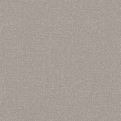 Sunbrella Reef Moonrock REE J310 140 Marine Decorative Collection Upholstery Fabric