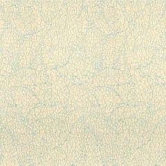 Lee Jofa Modern Sunbrella Breakwater Robins Egg GWF-3419-15 by Kelly Wearstler Upholstery Fabric