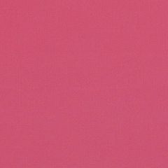 Silver State Sunbrella Legacy Raspberry Prestige Collection Upholstery Fabric