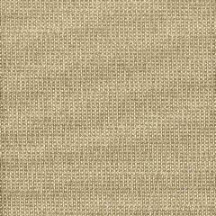 Stout Sunbrella Derby Truffle 8 Weathering Heights Collection Upholstery Fabric