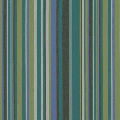 Sunbrella by Mayer Infinity Peacock 415-014 Imagine Collection Upholstery Fabric