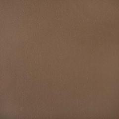 Sunbrella Capriccio Mink 10200-0013 Horizon Marine Upholstery Fabric