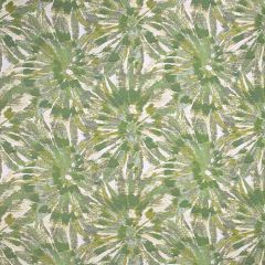 Sunbrella by Alaxi Kokomo Moss Atmospherics Collection Upholstery Fabric