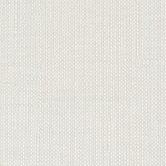 Stout Sunbrella Celia Ivory 2 Well Suited Sunbrella Collection Upholstery Fabric