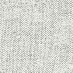 Stout Sunbrella Dwyer Birch 5 Well Suited Sunbrella Collection Upholstery Fabric