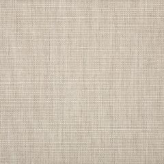 Sunbrella Echo Ash 57005-0000 Elements Collection Upholstery Fabric