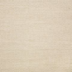 Sunbrella Action Linen 44285-0000 Elements Collection Upholstery Fabric