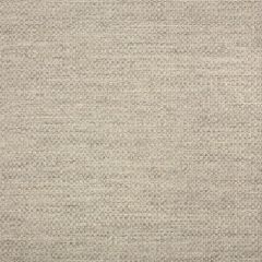 Sunbrella Action Ash 44285-0001 Elements Collection Upholstery Fabric