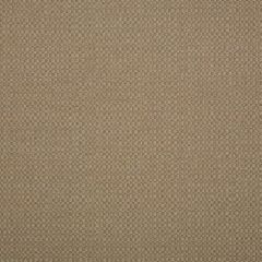 Sunbrella Action Taupe 44285-0003 Elements Collection Upholstery Fabric