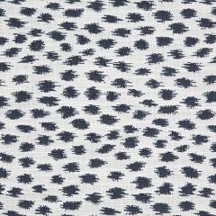 Sunbrella Agra Indigo 145147-0000 Fusion Collection - Reversible Upholstery Fabric (Light Side)