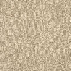 Sunbrella Chartres Malt 45864-0048 Fusion Collection Upholstery Fabric