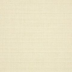 Sunbrella Boss Tweede II Salt 45893-0003 Fusion Collection Upholstery Fabric