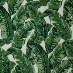 Sunbrella Tropics Jungle 145214-0000 Fusion Collection Upholstery Fabric