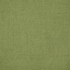 Sunbrella Cast Moss 48109-0000 The Pure Collection Upholstery Fabric