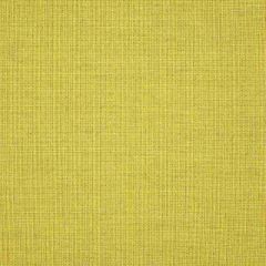 Sunbrella Cast Citrus 48112-0000 The Pure Collection Upholstery Fabric
