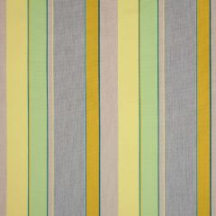 Sunbrella Expand Citronelle 14049-0002 Dimension Collection Upholstery Fabric