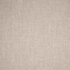 Sunbrella Switch Flax 40555-0002 Fusion Collection Upholstery Fabric