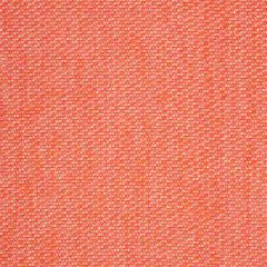 Sunbrella Tailored Guava 42082-0021 Fusion Collection Upholstery Fabric
