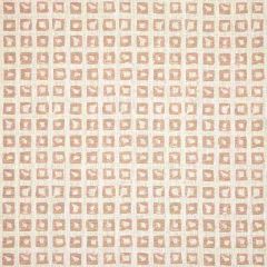 Sunbrella Kindle Blush 145666-0001 Fusion Collection - Reversible Upholstery Fabric (Light Side)