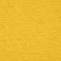 Sunbrella Triumph Dijon 62027-0001 Transcend Collection Upholstery Fabric